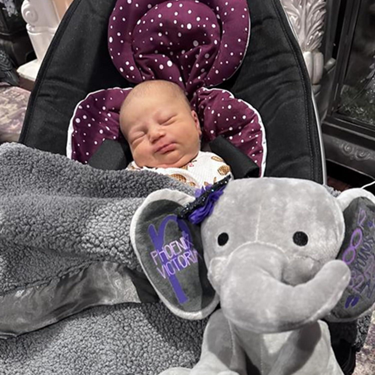 image4moms RockaRoo and MamaRoo Infant Insert Machine Washable Cool Mesh Fabric Reversible Design MintMaroon