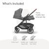 imageUPPAbaby Cruz V3 Stroller  from Birth  Car Seat Compatible  FullSize Reversible Seat  Infant Insert Bug and Rain Shields Included  Greyson Charcoal MlangeCarbon FrameSaddle LeatherGreyson Charcoal Mlange