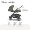 imageUPPAbaby Cruz V3 Stroller  from Birth  Car Seat Compatible  FullSize Reversible Seat  Infant Insert Bug and Rain Shields Included  Greyson Charcoal MlangeCarbon FrameSaddle LeatherEvelyn Meadow Green